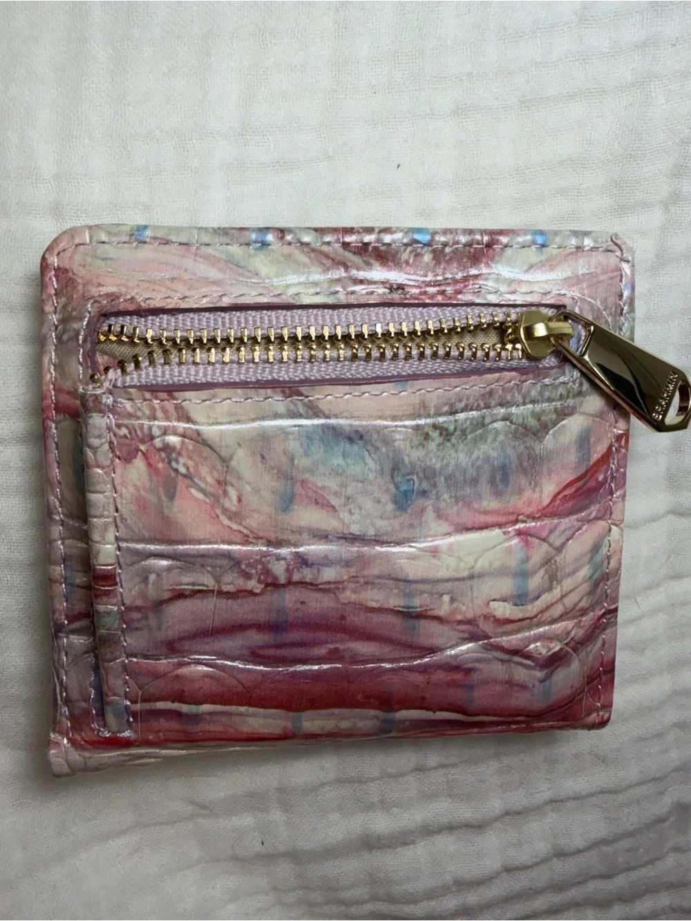 Brahmin this jane